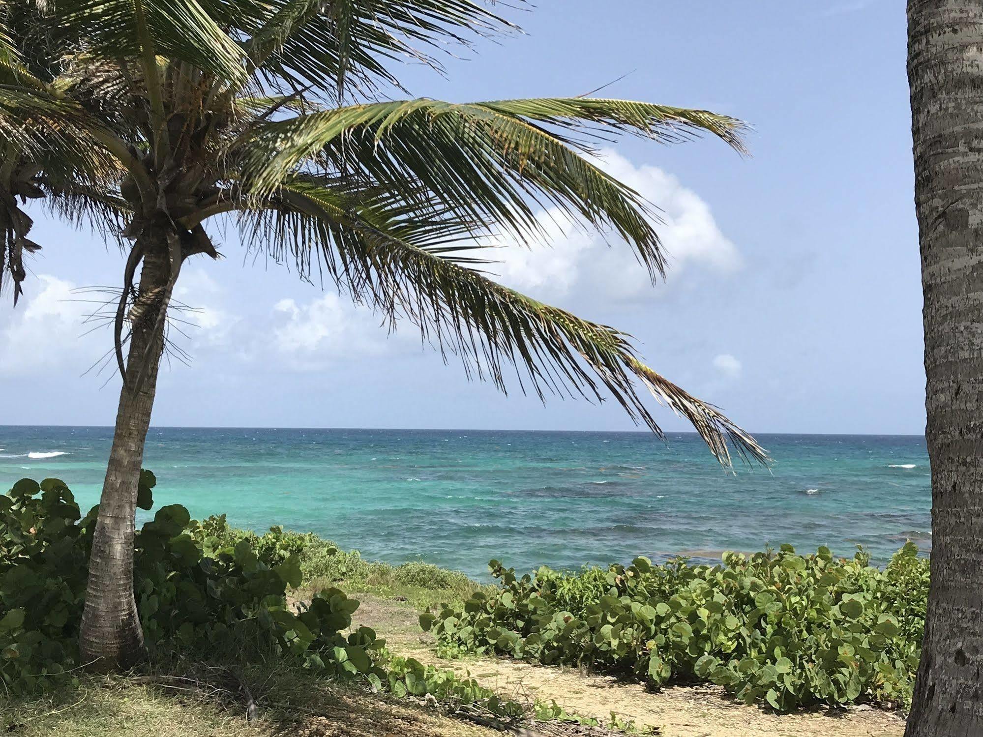 Ti.Maanga Vue Mer Pieds Dans L'Eau Saint-Francois  Exteriér fotografie
